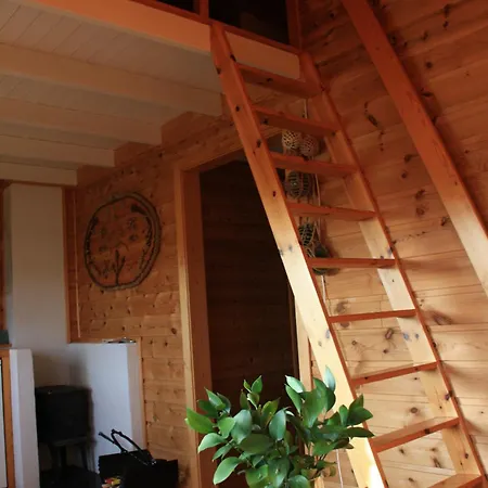 Akviktunet Nord Ekkilsoya