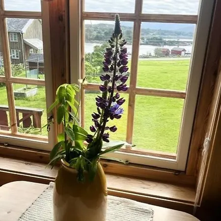 キャンプ場 Akviktunet Nord