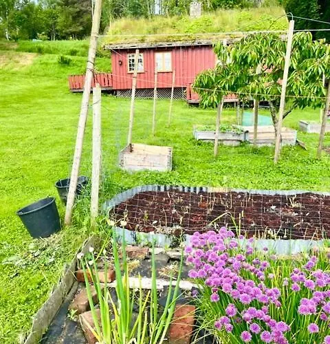 Akviktunet Nord Parque de Campismo Ekkilsoya