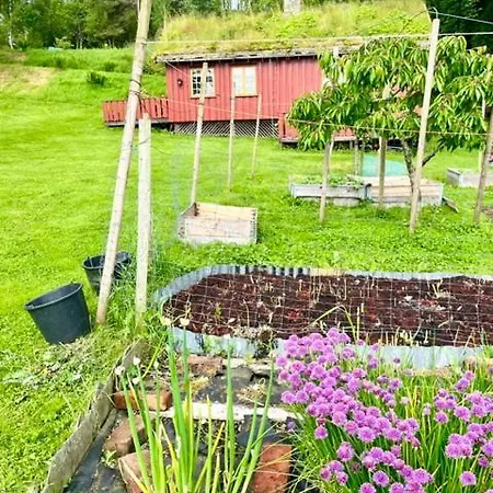 Akviktunet Nord Camping Ekkilsoya